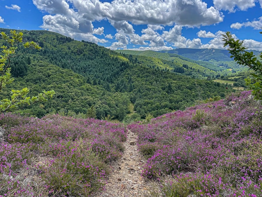 Paysage hauteurs d'Arnac
