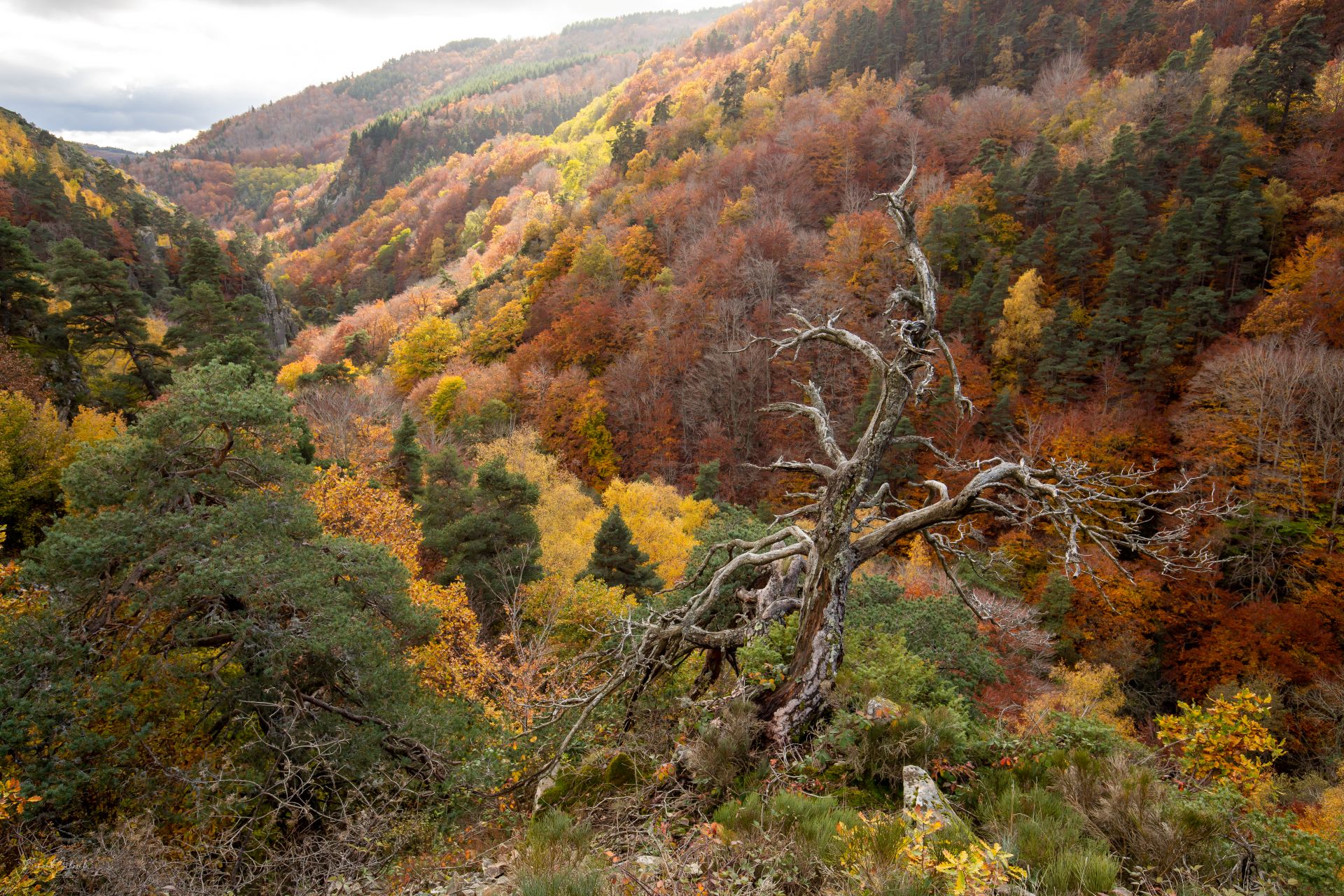 Les gorges de l'Enfer