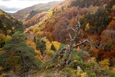 Les gorges de l'Enfer