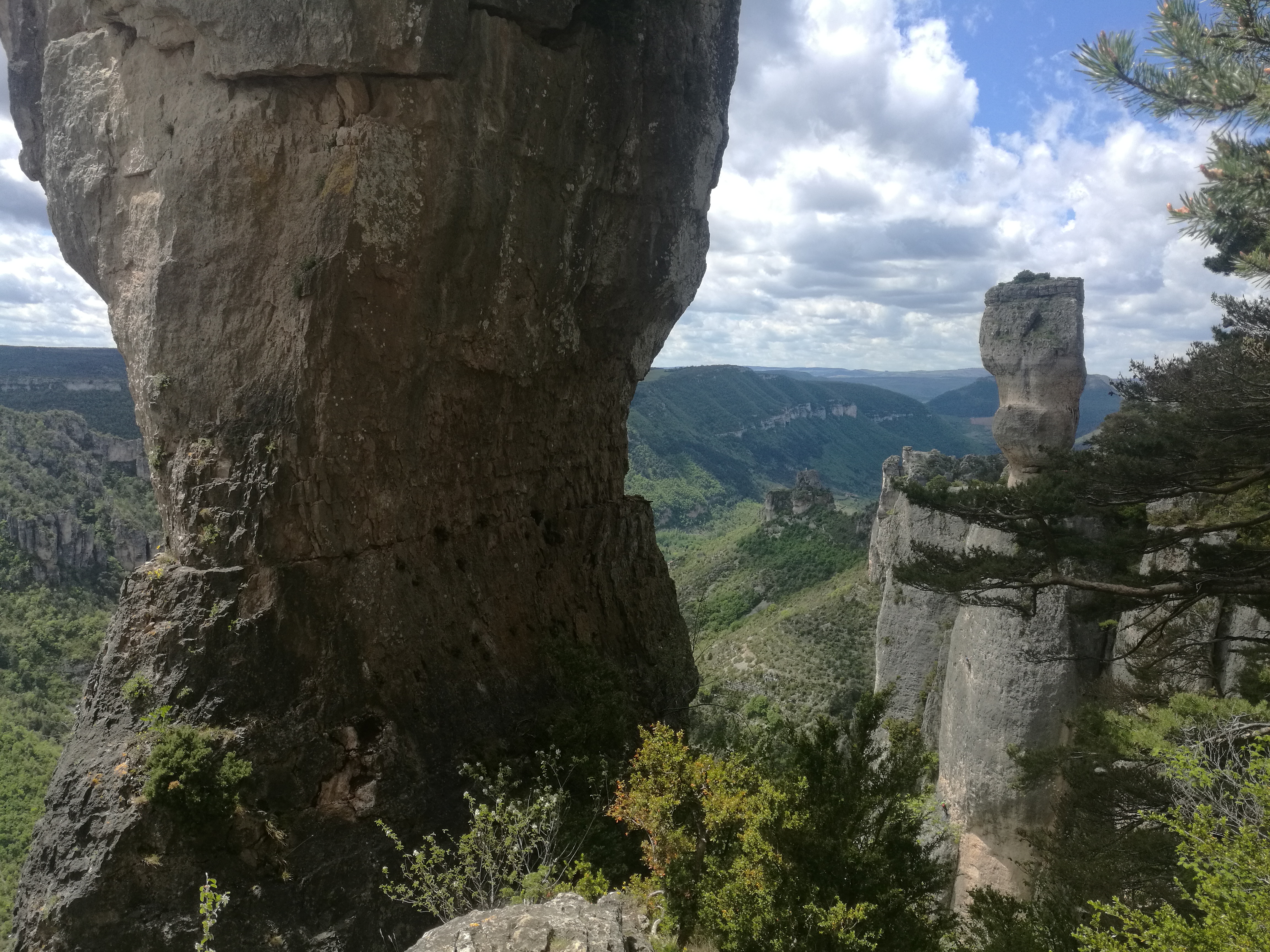 Entre corniches du Tarn et de la Jonte
