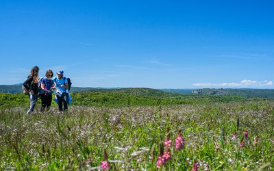 Panorama sur le Causse Noir