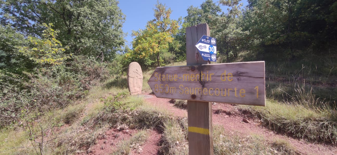 Statue menhir de Saumecourte