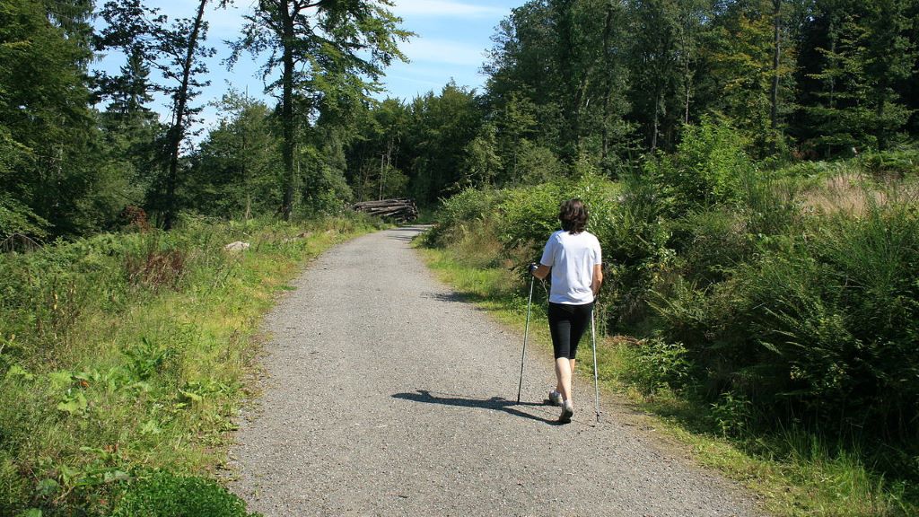 Les chemins forestiers pour accèder à la vallée du Bès