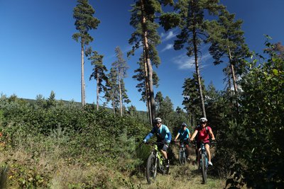 Randonneurs à VTT sur les chemins