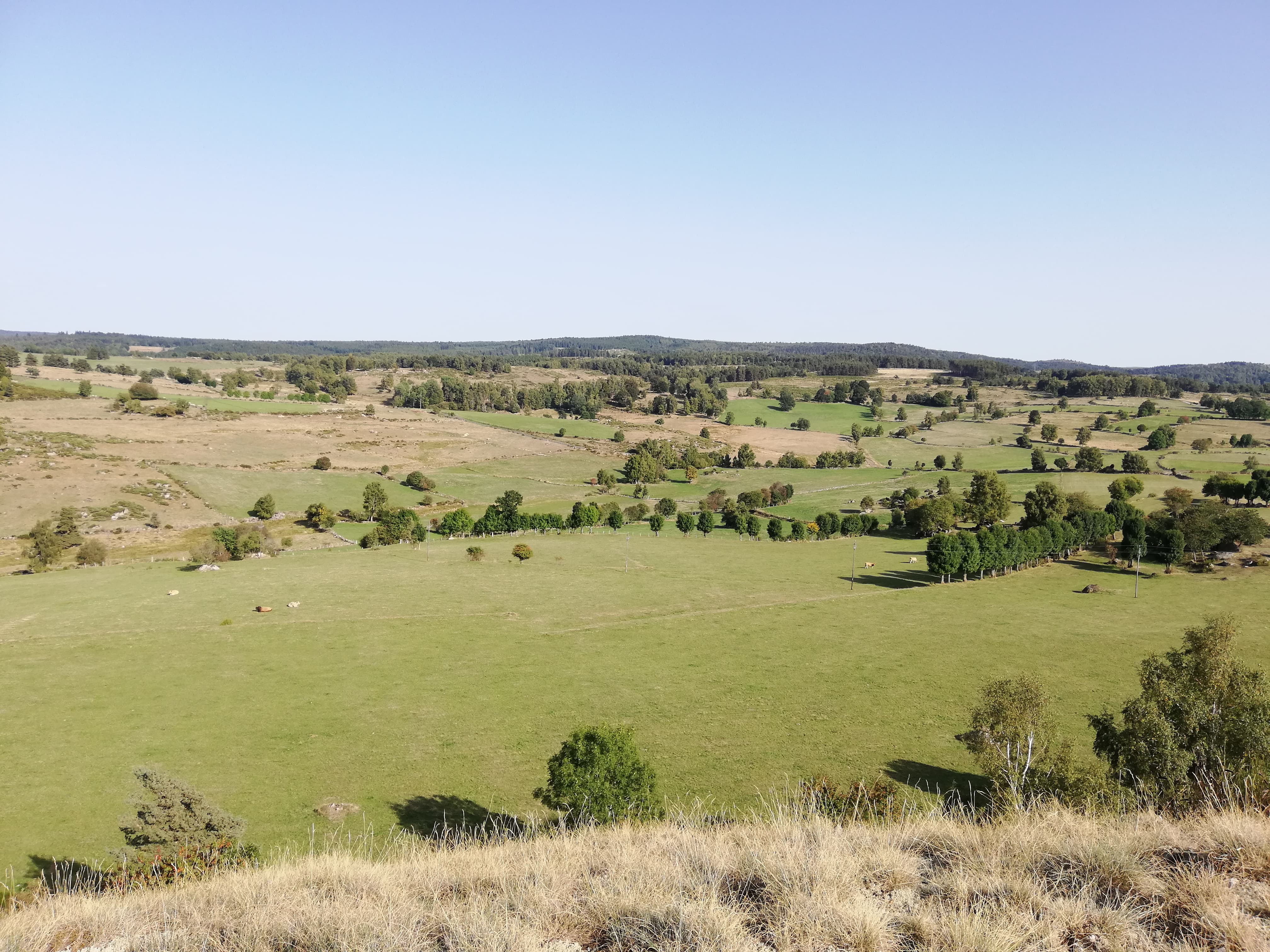Vu du Rocher du Cheylaret