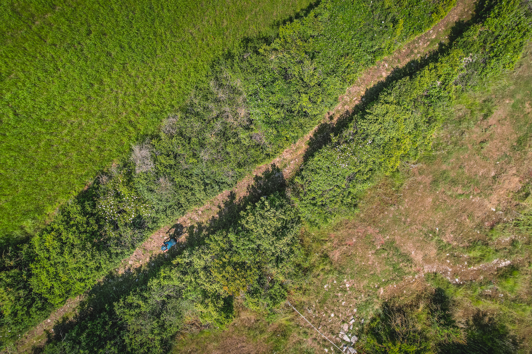 VTT N°16 - Montagnes russes grandeur nature
