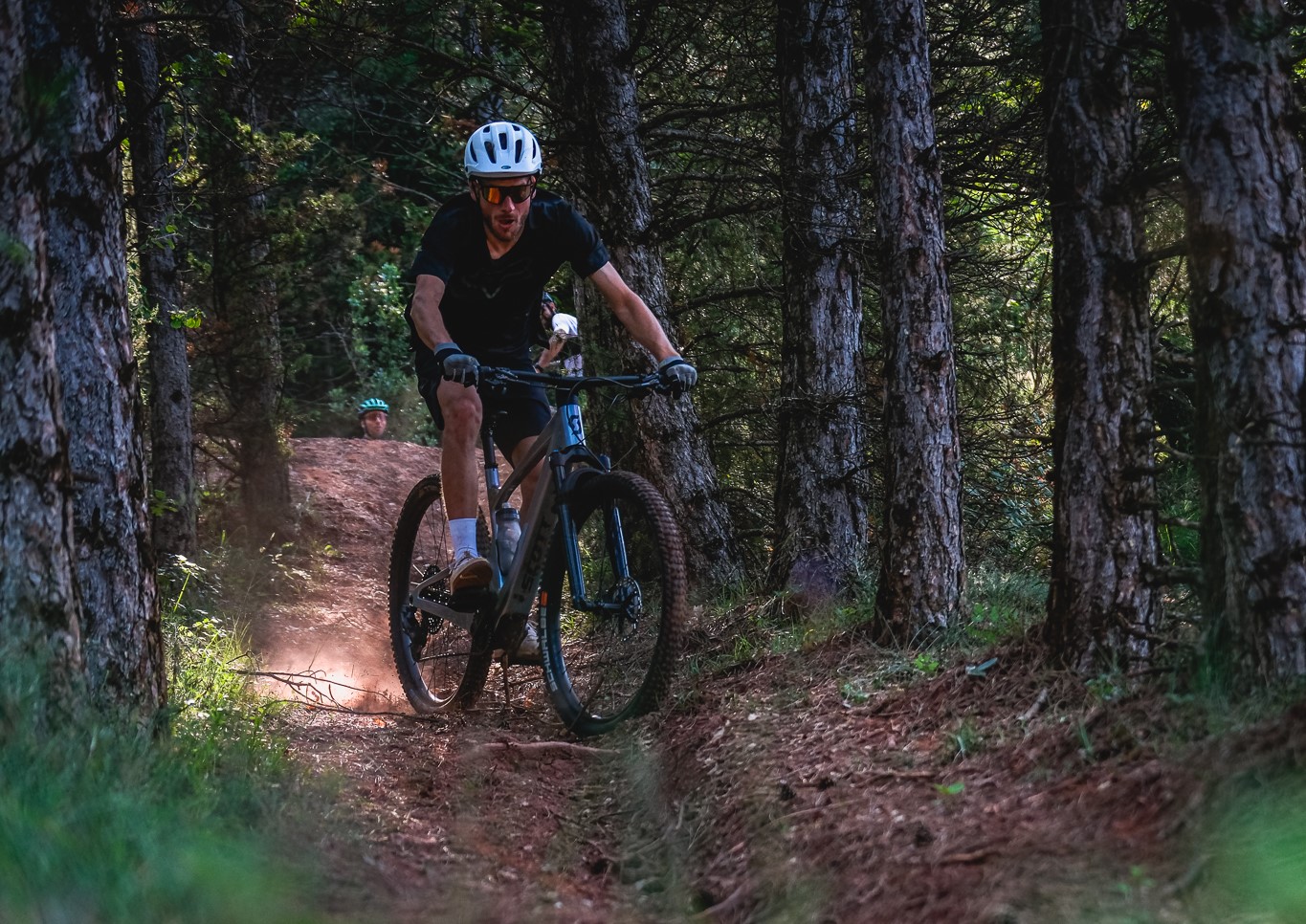 La forêt de St Thomas