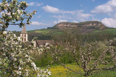 Le Truc de St bonnet