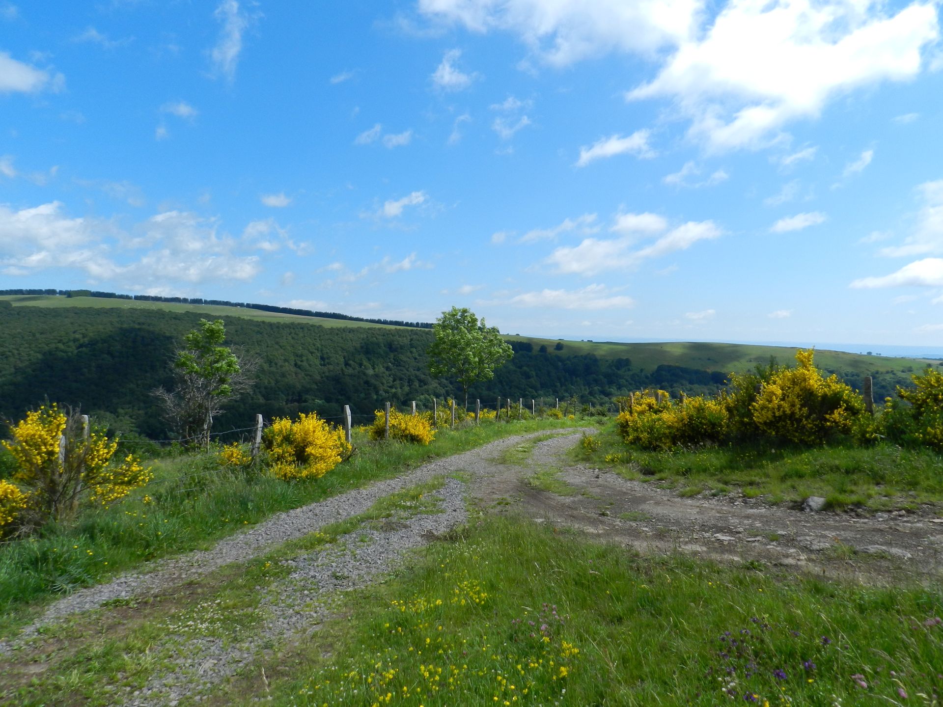 Panorama coeur du plateau de l'Aubrac