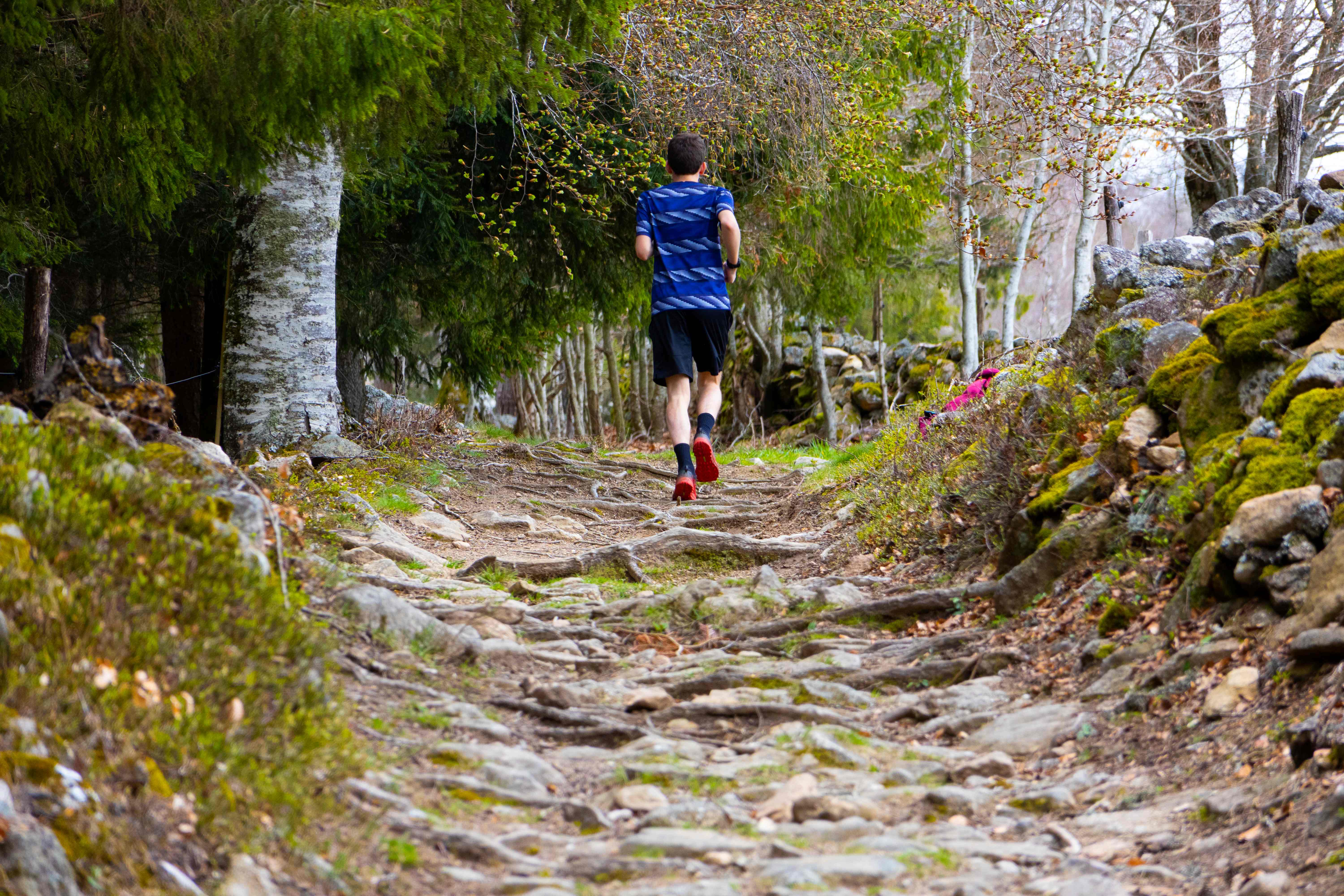 Montez en altitude !