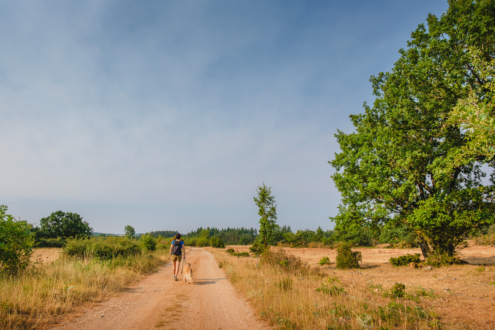 Sur le causse