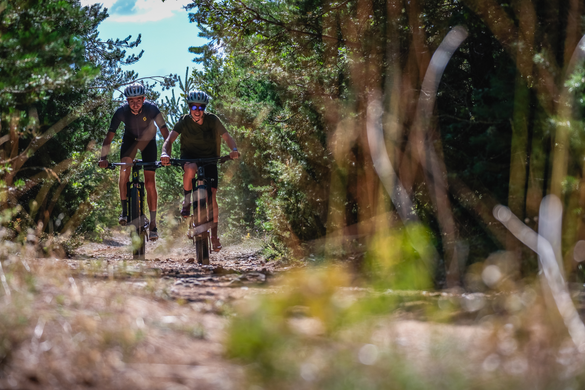 Sur les pistes du Larzac