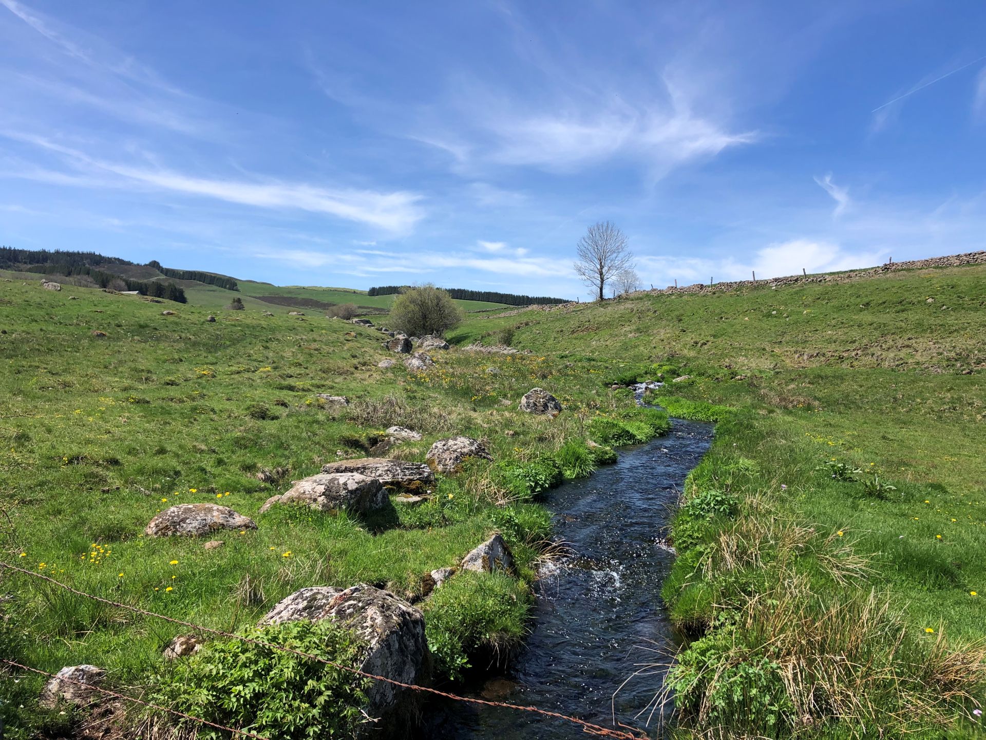 Plateau de l'Aubrac
