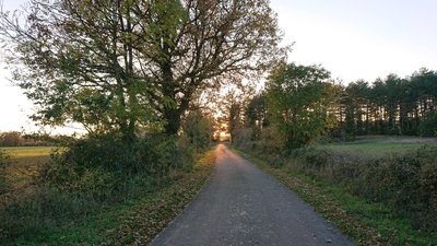 Non loin de la lavogne