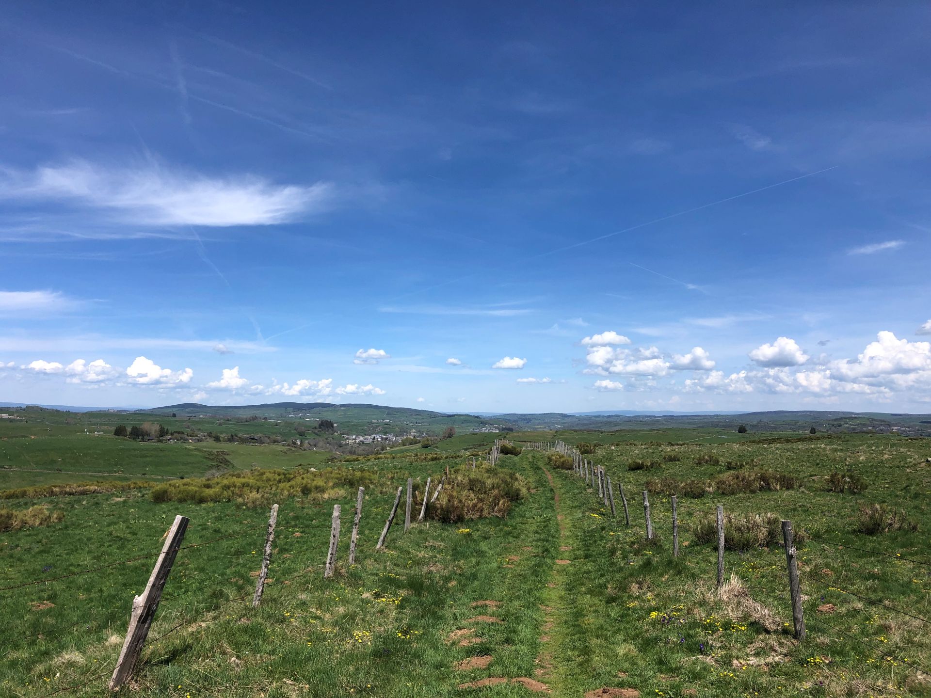Chemin à travers patûrages