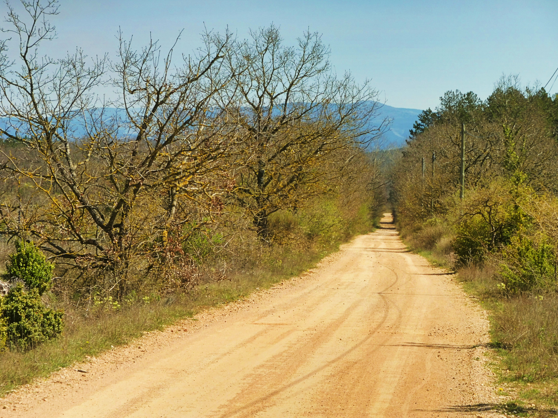 Avant d'arriver à la Jasse