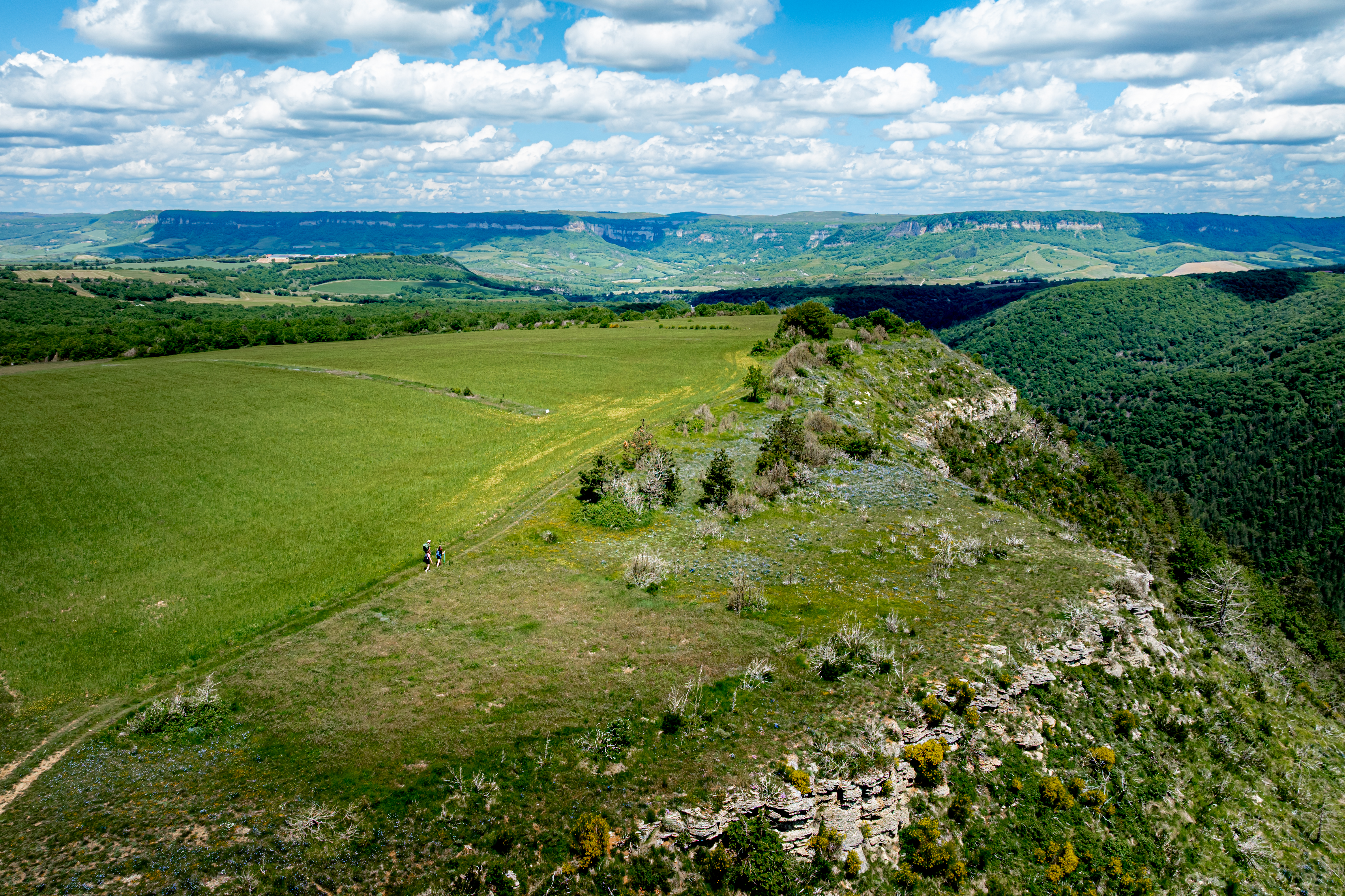 Crêtes et buissières de Mascourbe