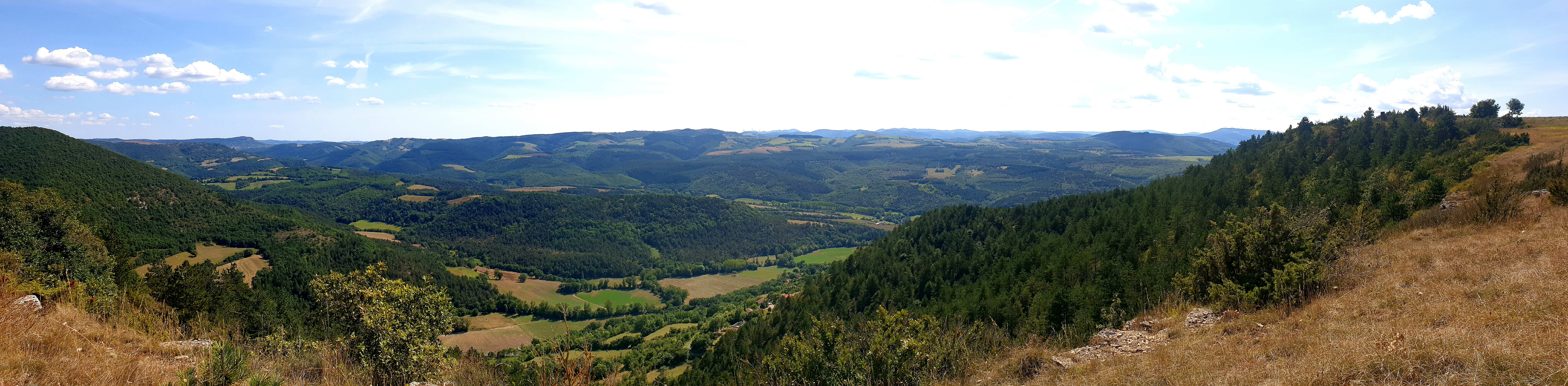 Crêtes et buissière du plateau de Mascourbe