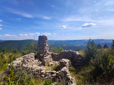 Crêtes et buissière du plateau de Mascourbe
