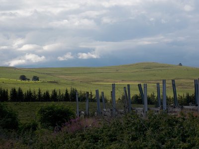 Les estives depuis la forêt de la station de Saint-Urcize