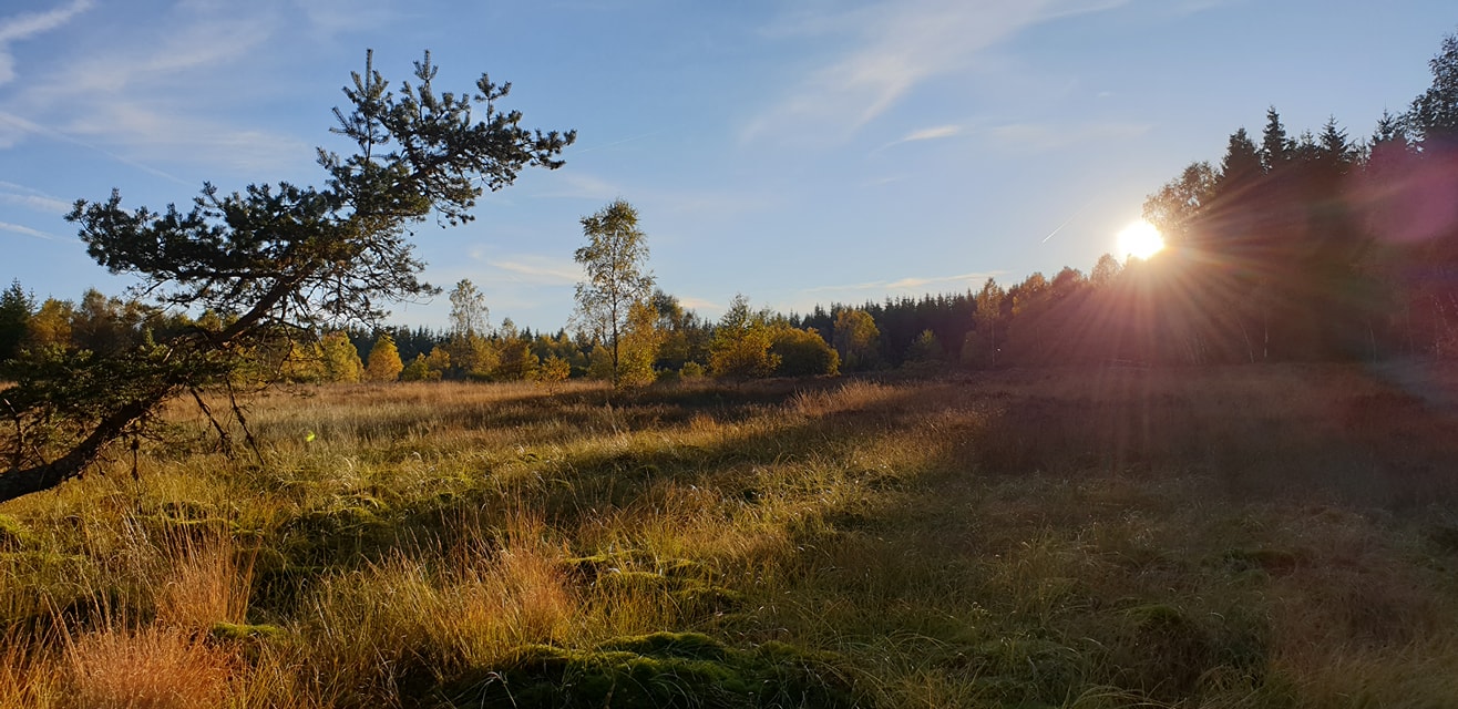 La tourbière du Puy de la Tuile