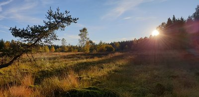 La tourbière du Puy de la Tuile