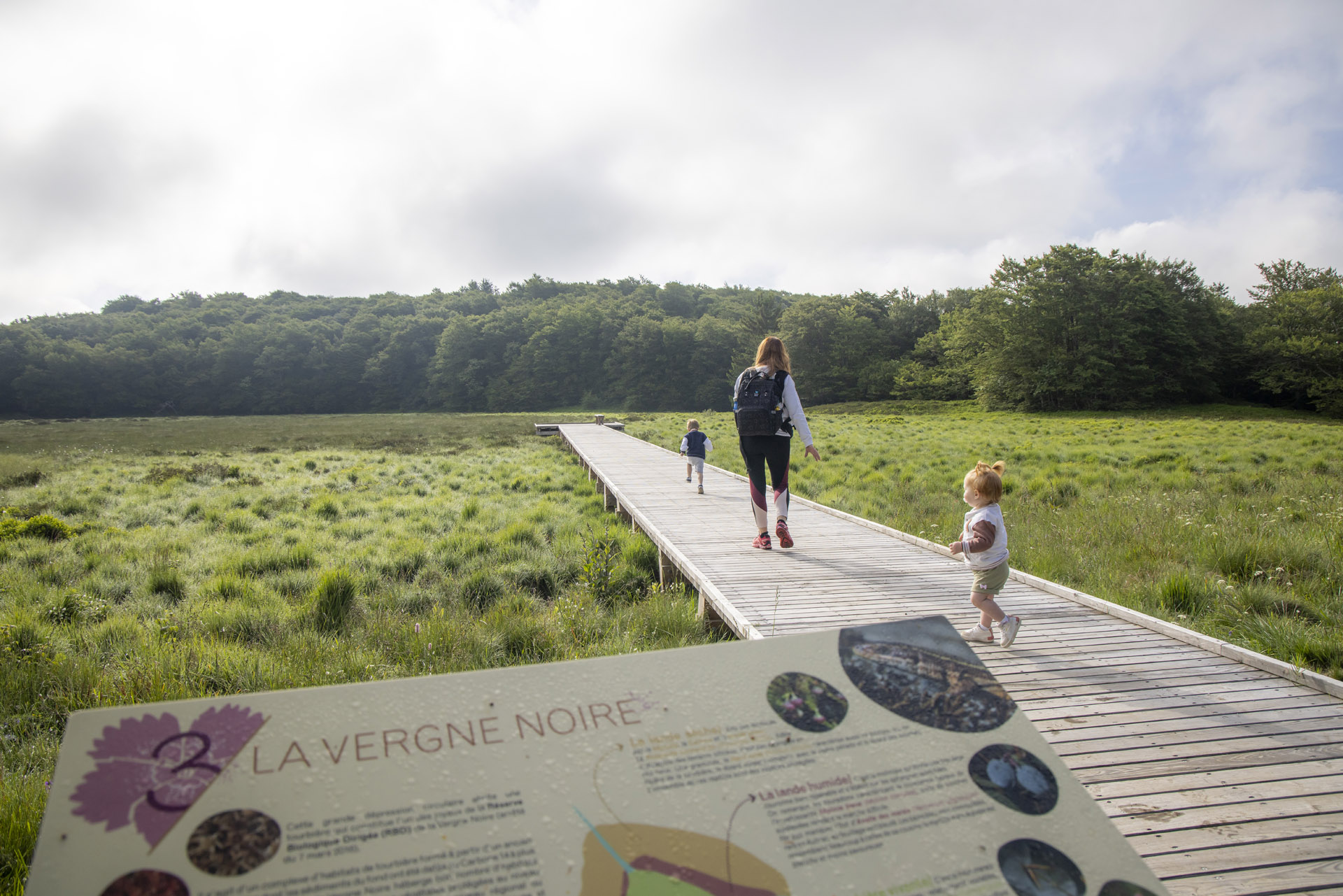 Le ponton, sur la Tourbière de la vergne noire
