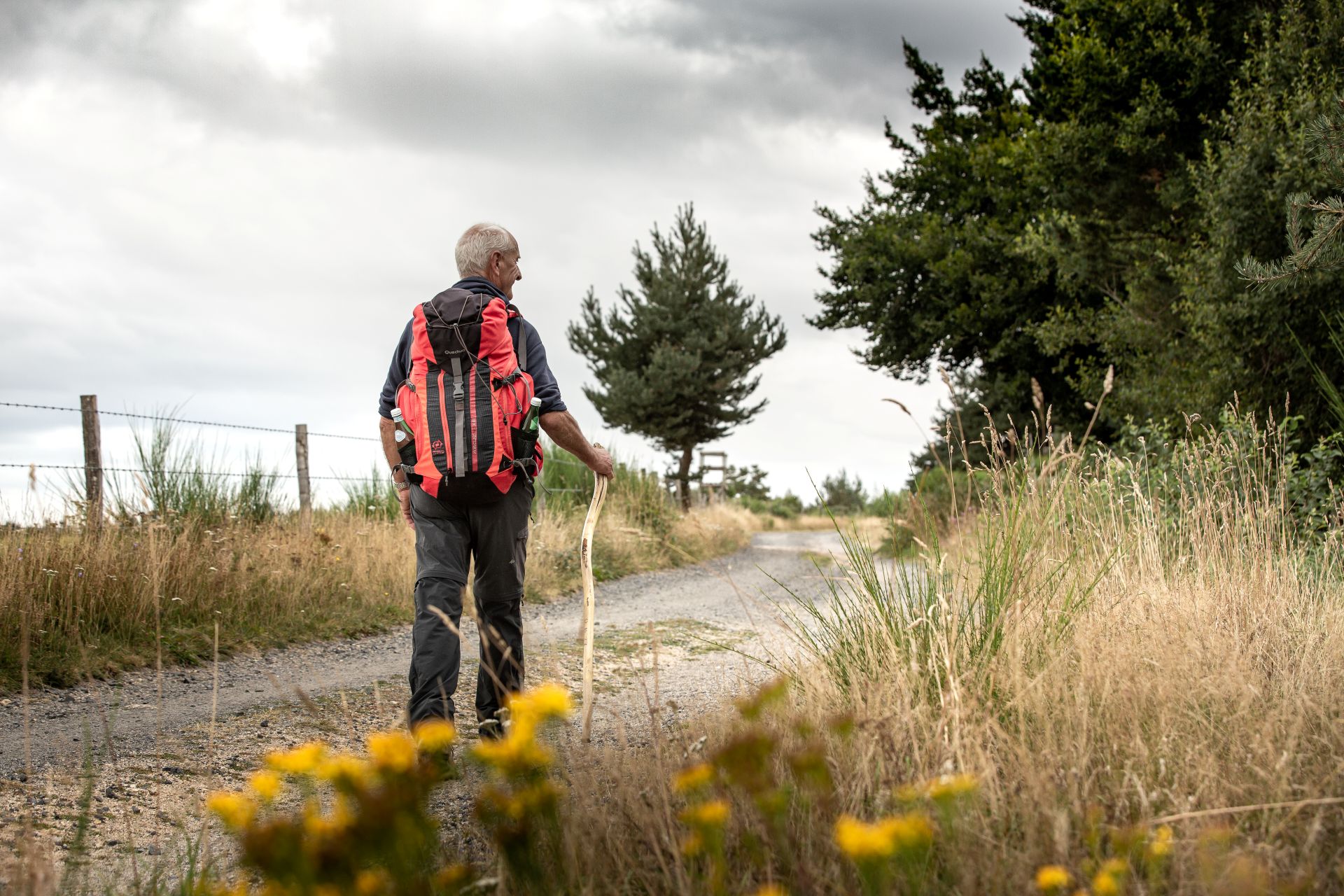 Les chemins autour d'Aumont-Aubrac