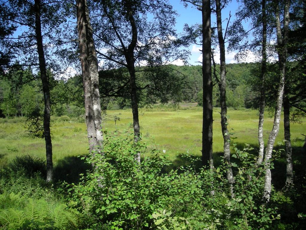 La Toubière de la Vergne des Mazes