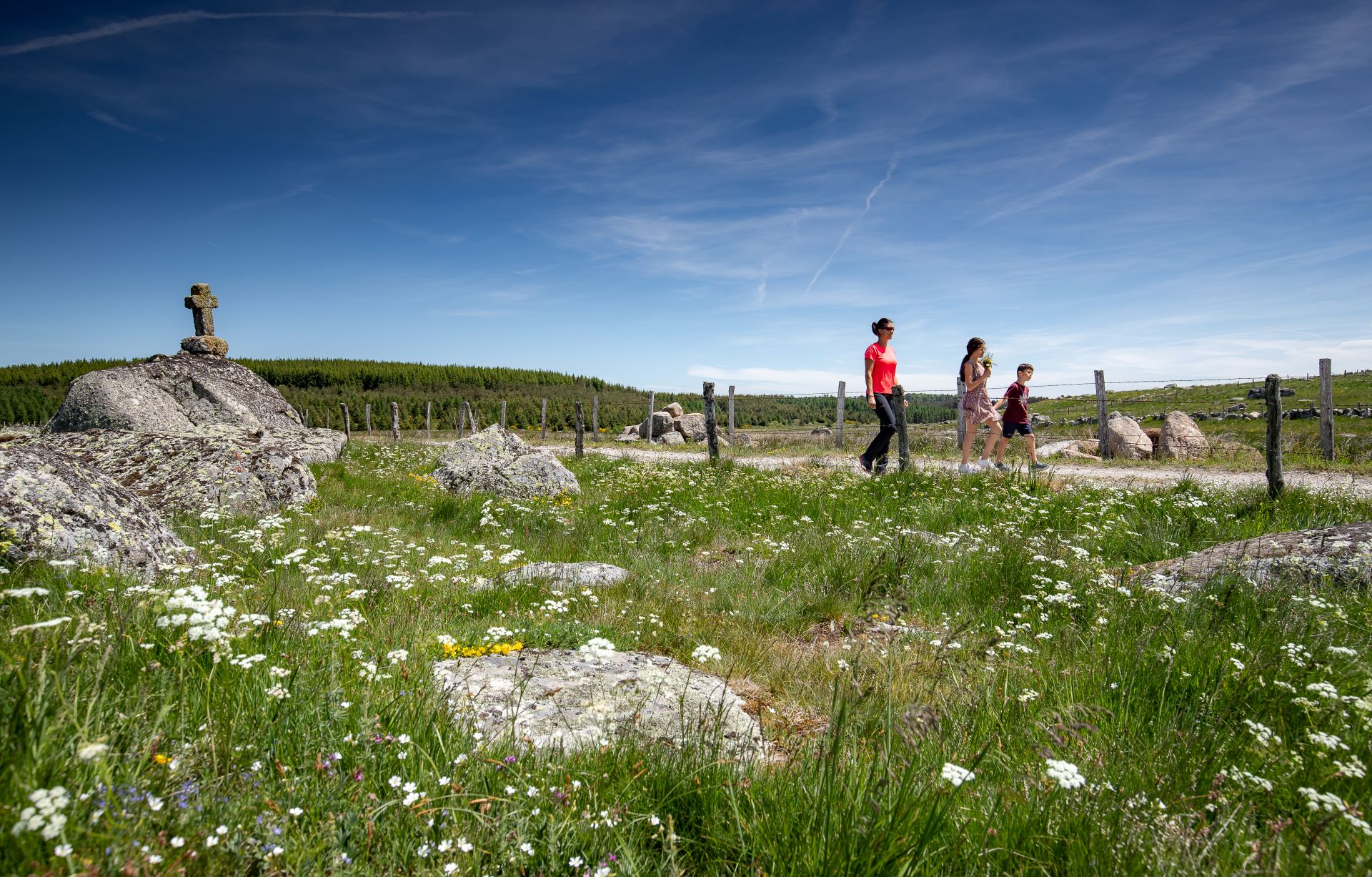 Un chemin de randonnée borné de fleurs
