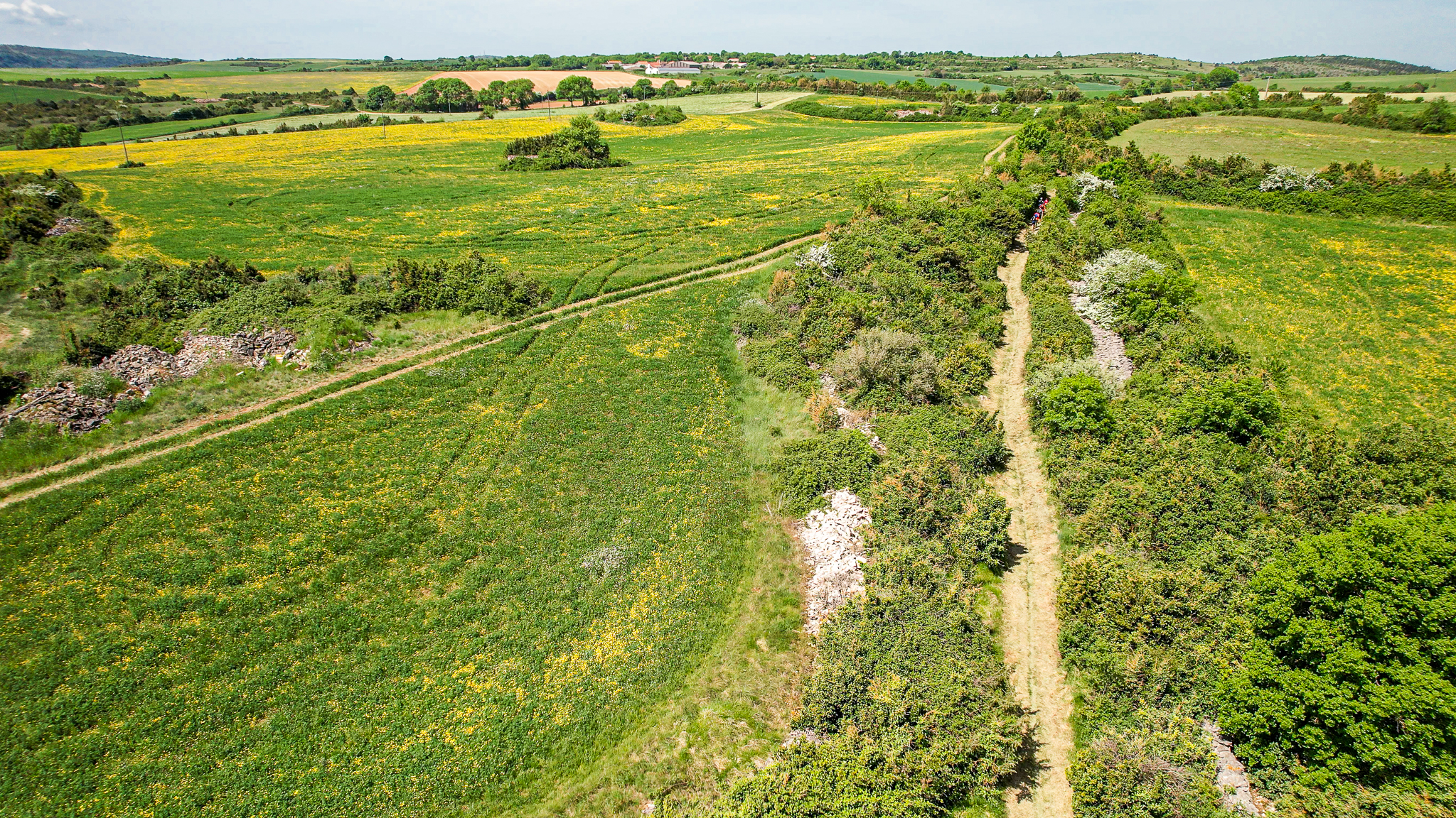 Buissière d'Hermilix