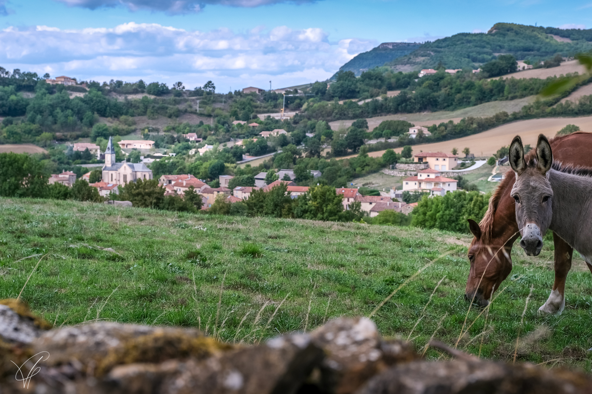 Entre causse et vallées