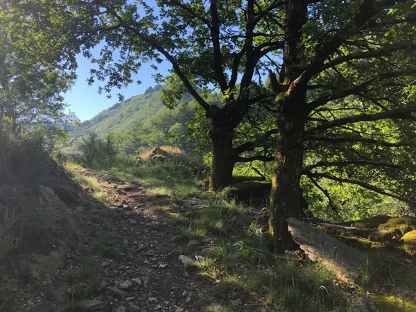 Point de vue sur le parcours trail de Grand-Vabre
