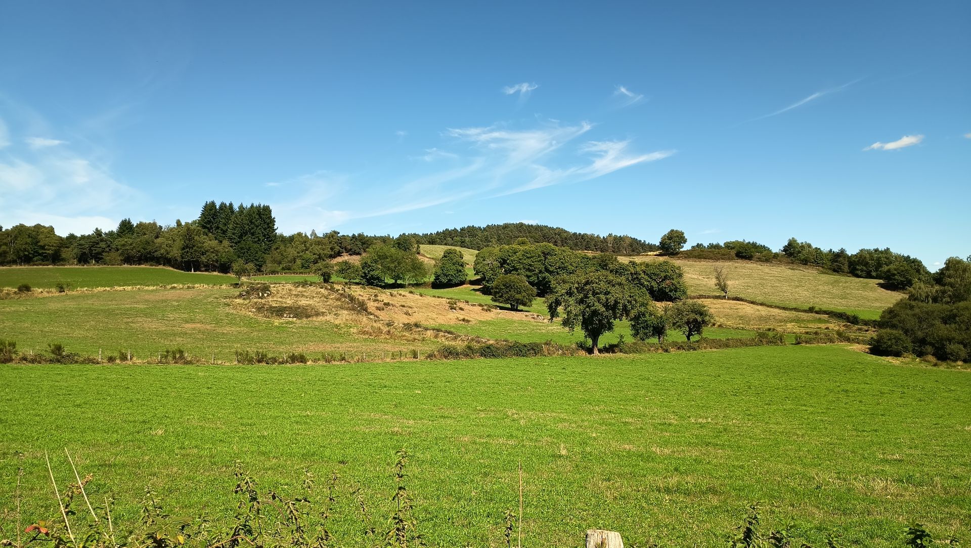 Les prairies de la Viadène, près de Bouldoires