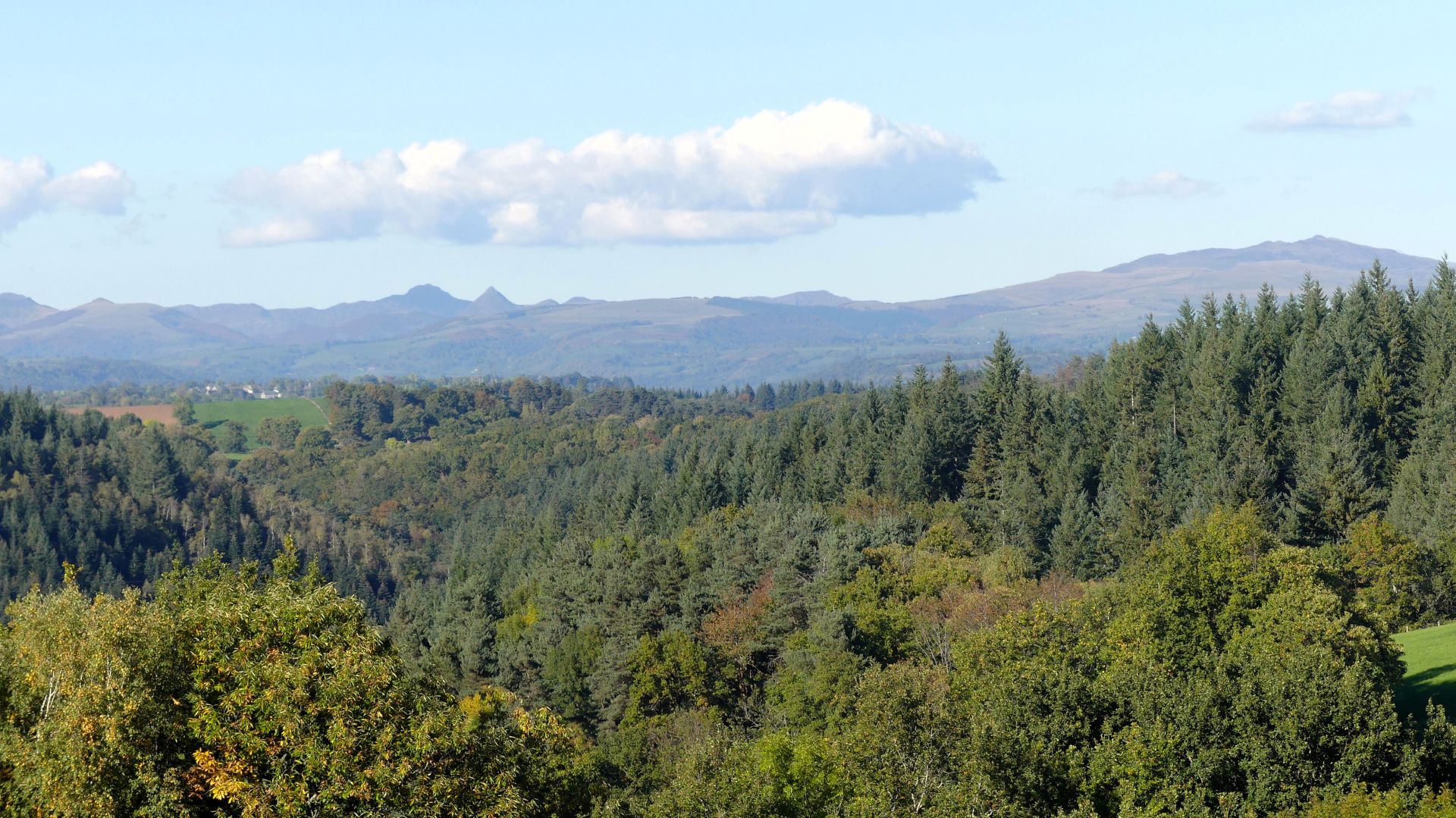 La forêt de Seyrolles et les Monts du Cantal