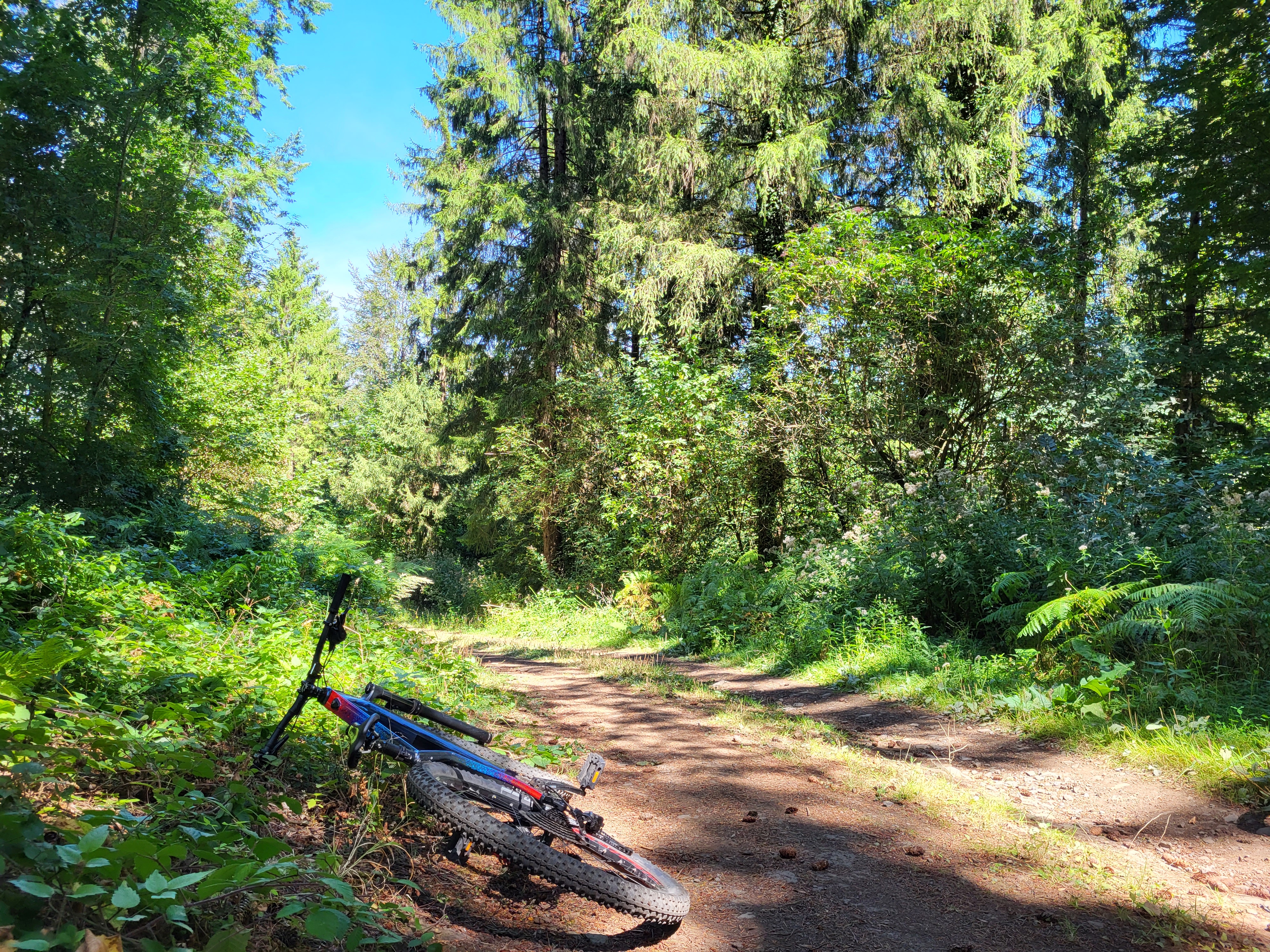 VTT N°78 - Circuit forêt de l'Escandorgue