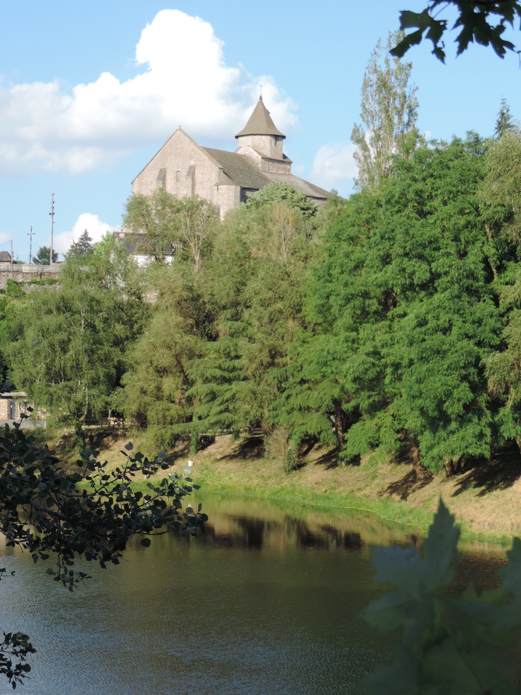 De l'arbre bleu à l'arboretum