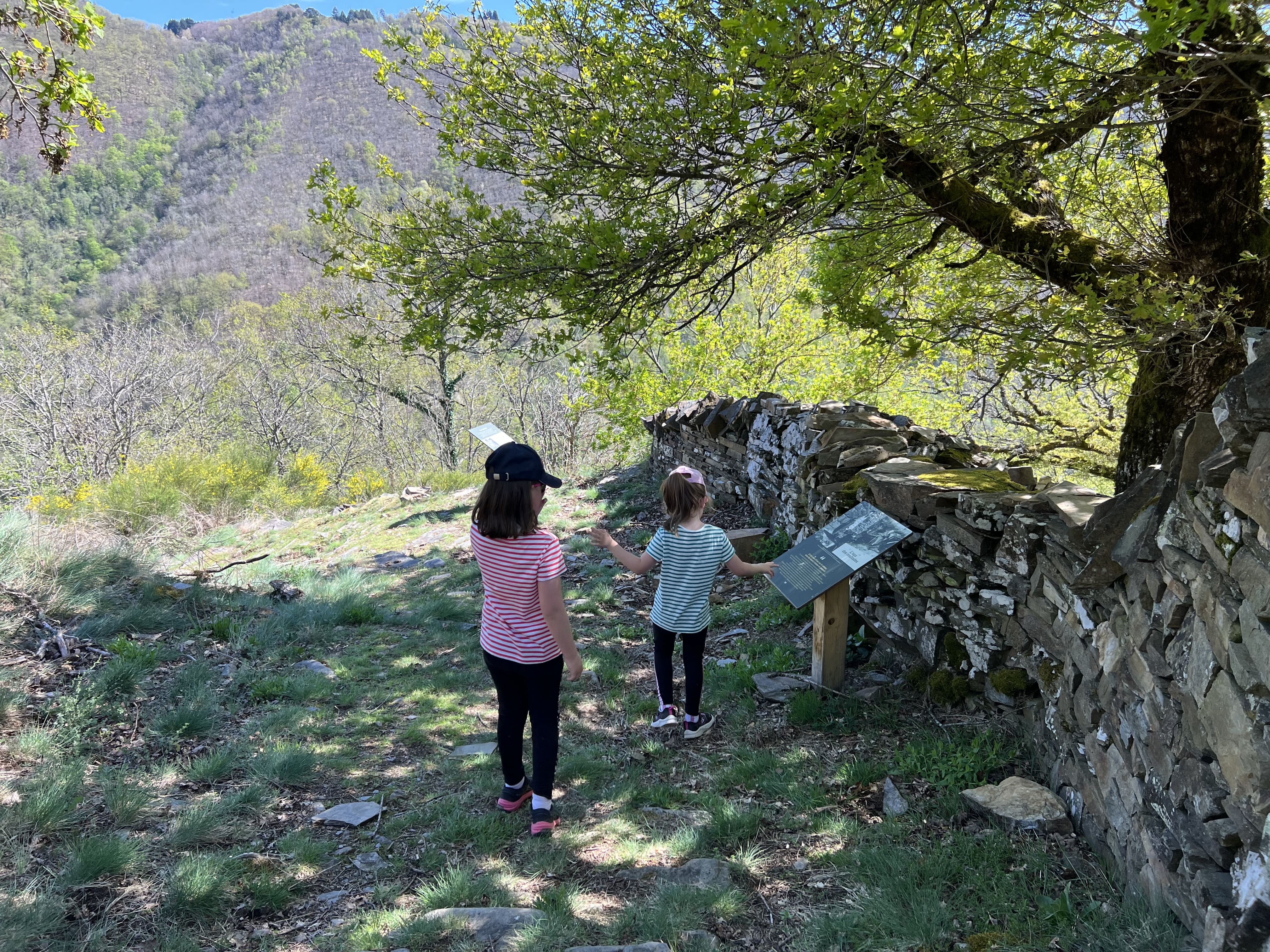 En cheminant le long des terrasses en pierres sèches