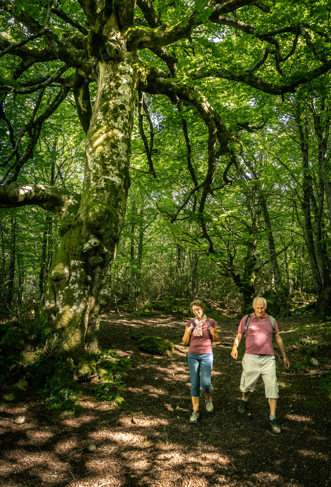 rando forêt Roquet Escu