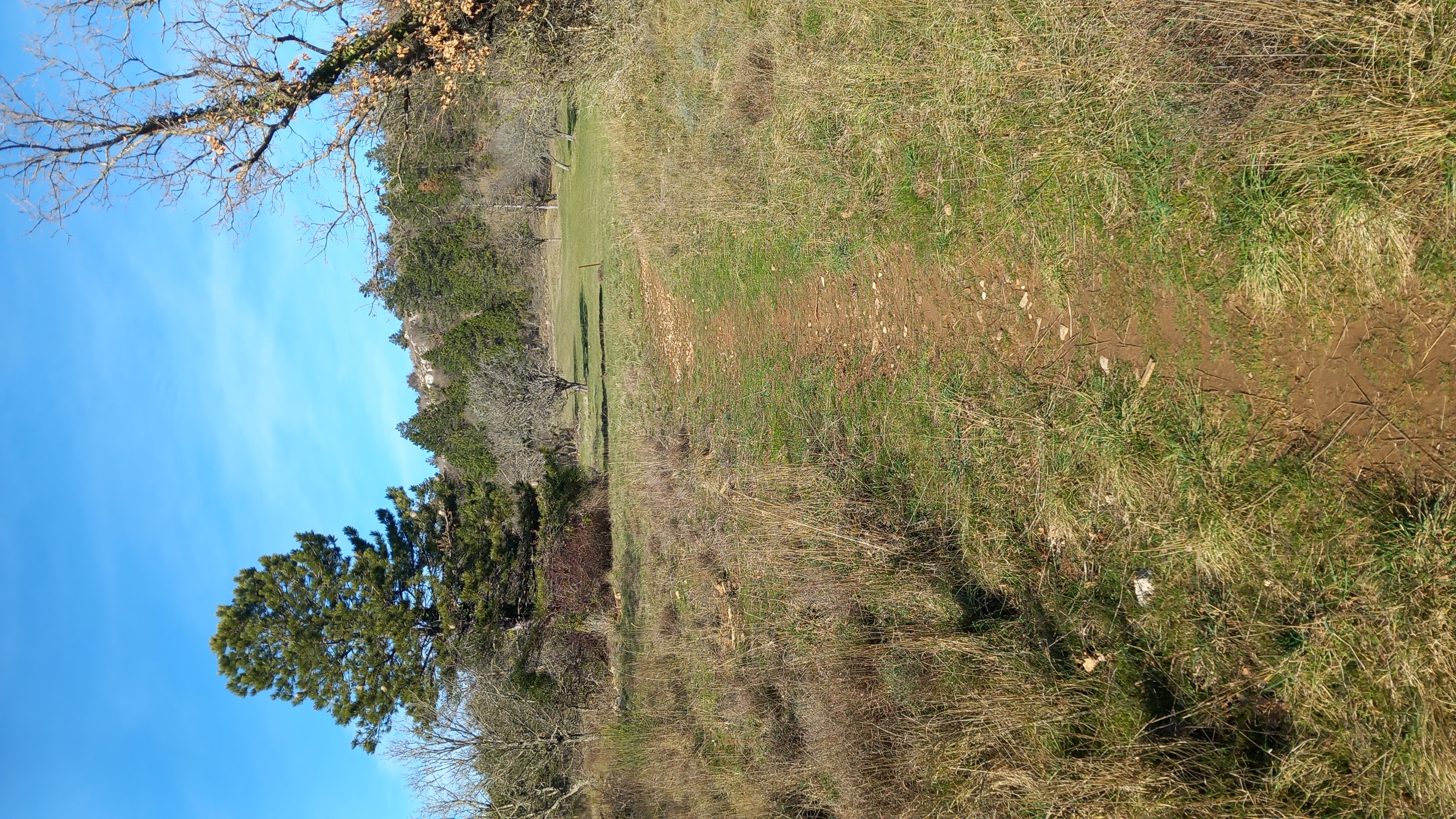 Sentier