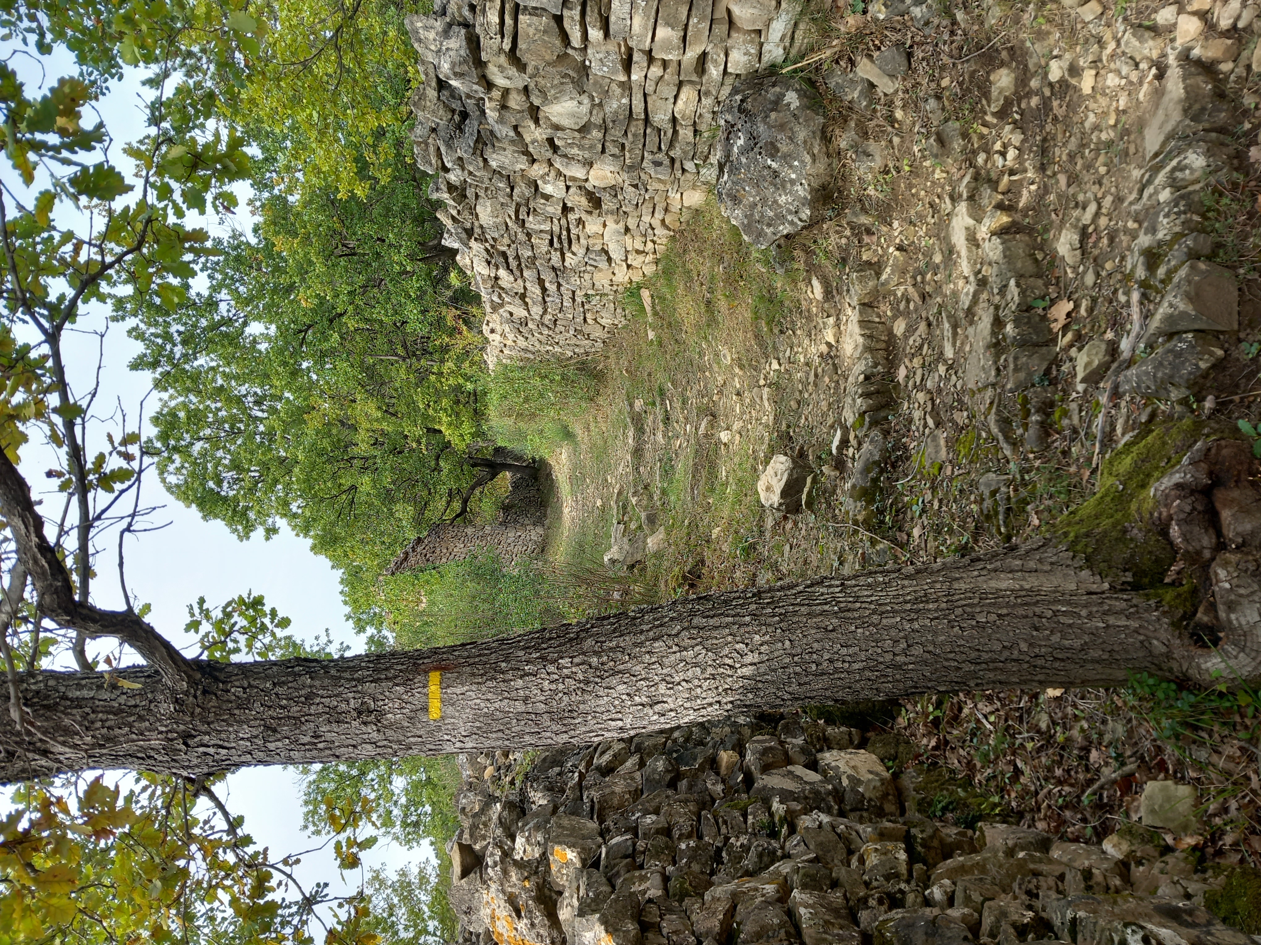 Calade