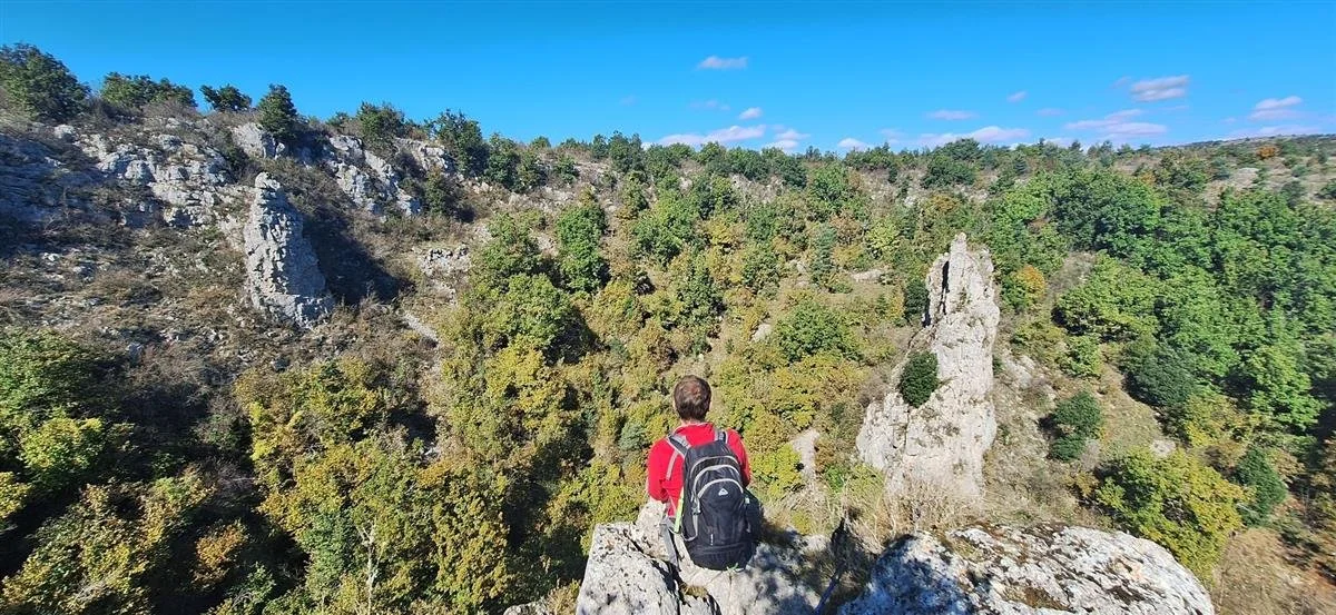 point de vue