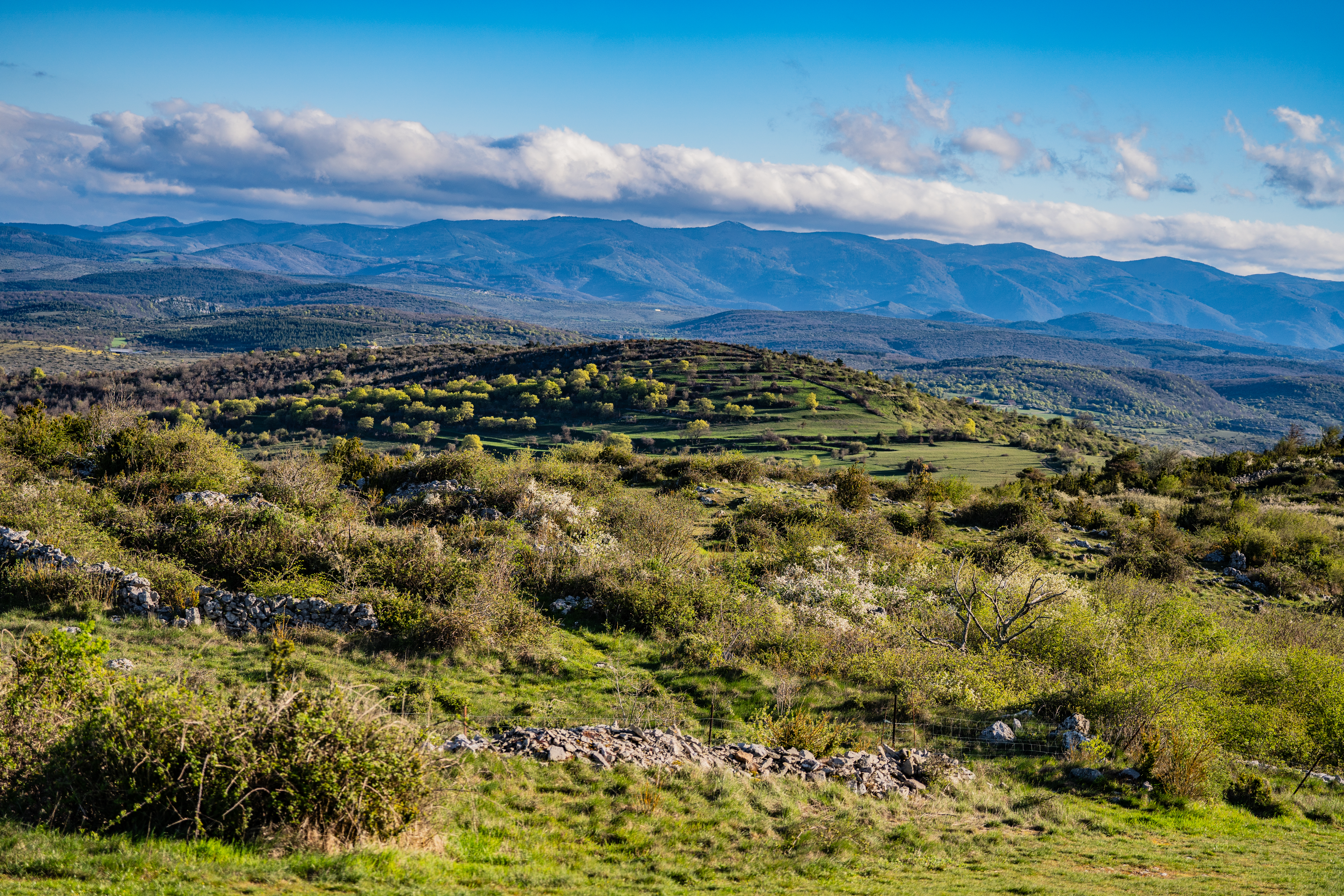Paysage