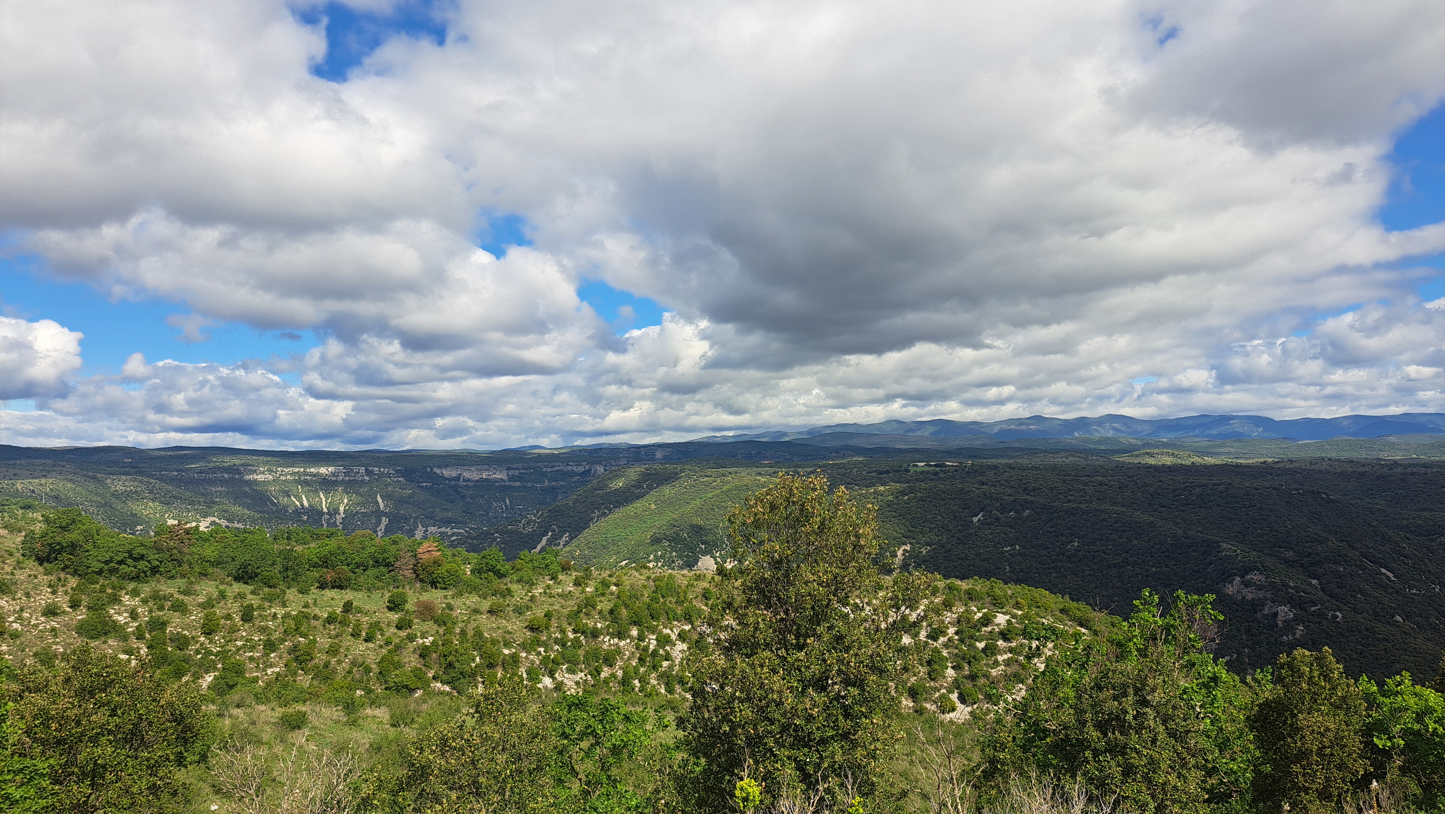 Paysage