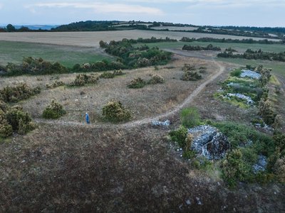 Non loin des dolmens de Mascourbe...