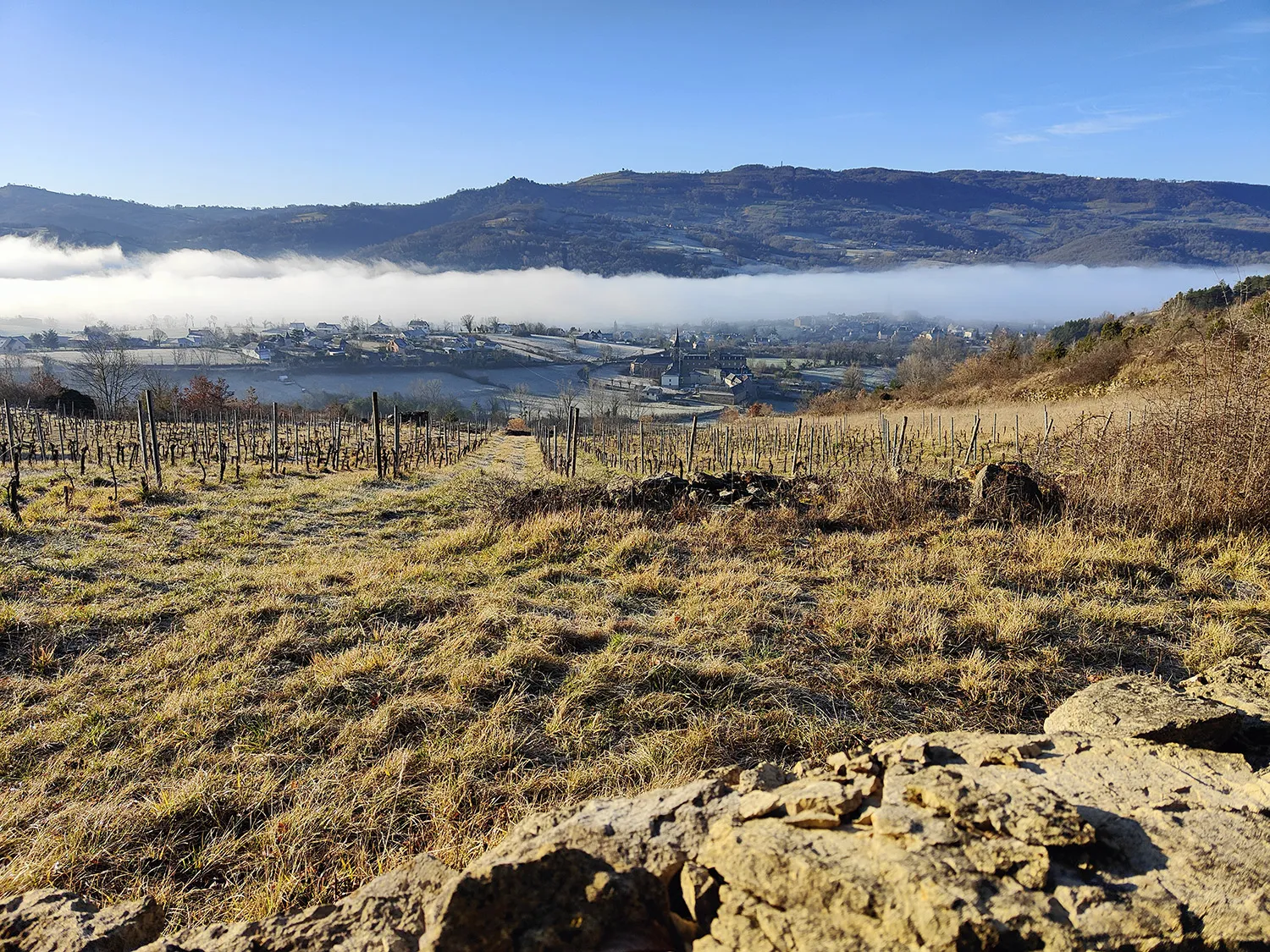 Vue sur la vallée du Lot et le village de Saint-Côme-d'Olt