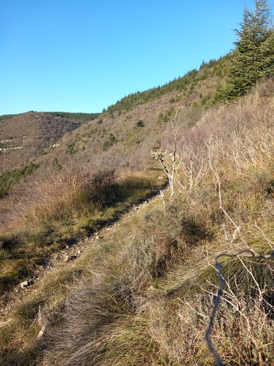monotrace sur grézac