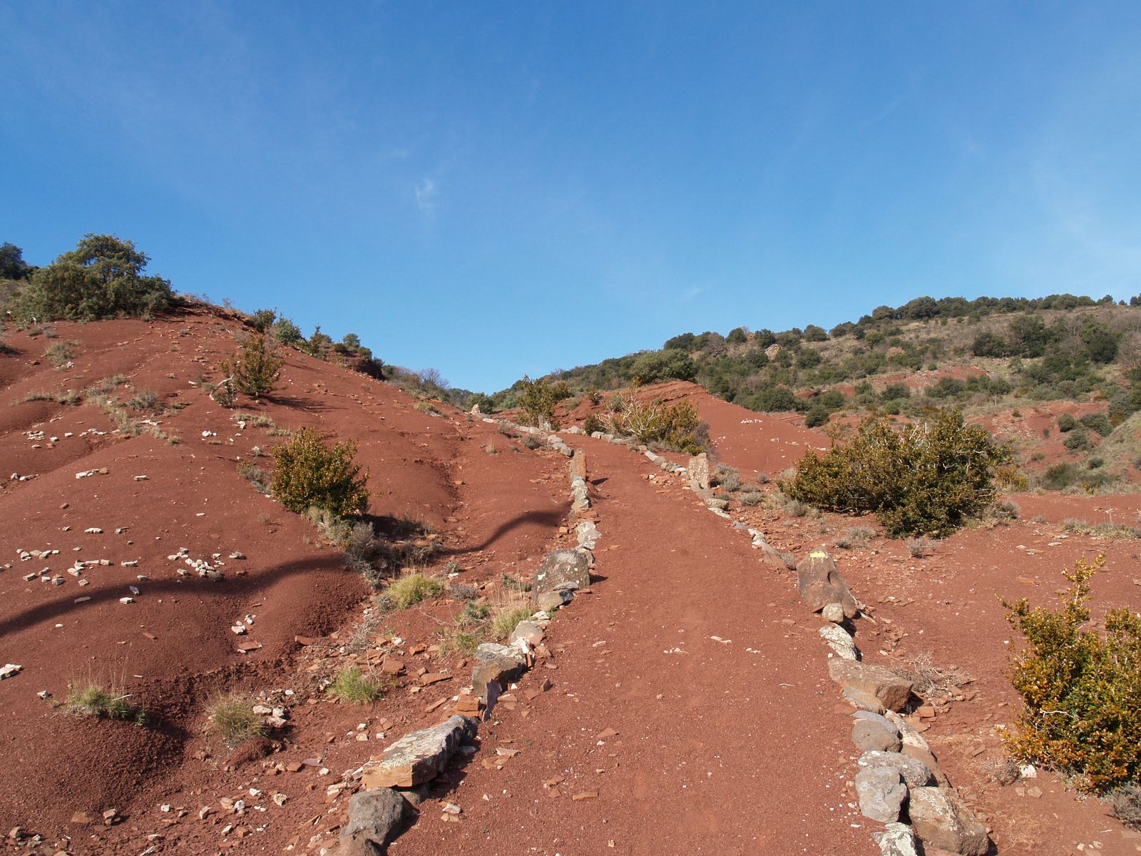 sentier dans les ruffes