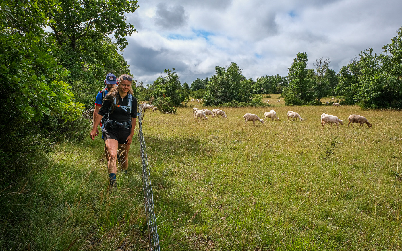 Sur le plateau du Larzac