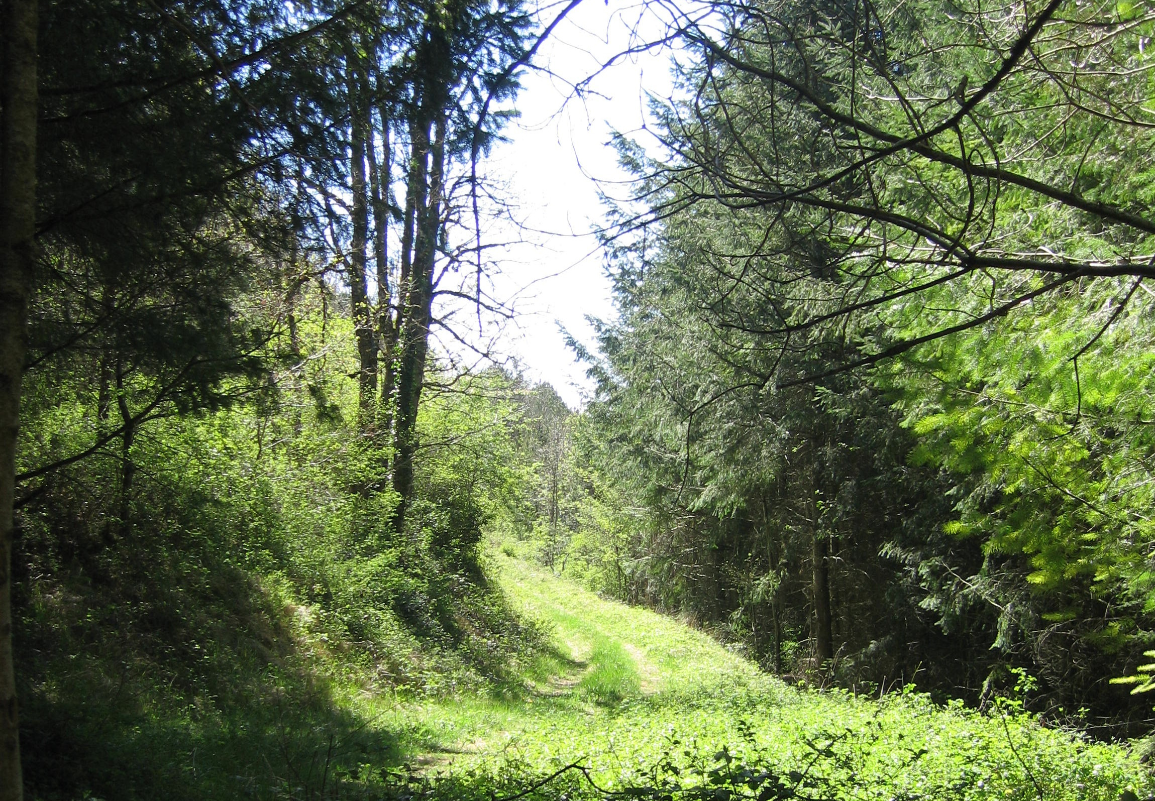 L'Assetadou (ou chemin de Tata Berthe)